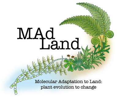 The MAdLand logo with the text “Molecular Adaptation to Land: plant evolution to change”