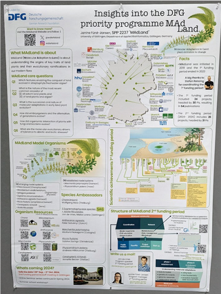 A second MAdLand poster presented at the conference. The poster provides an overview of the MAdLand DFG priority program and its goals. It includes a section highlighting the collaboration with DataPLANT in the upcoming second phase of the project.