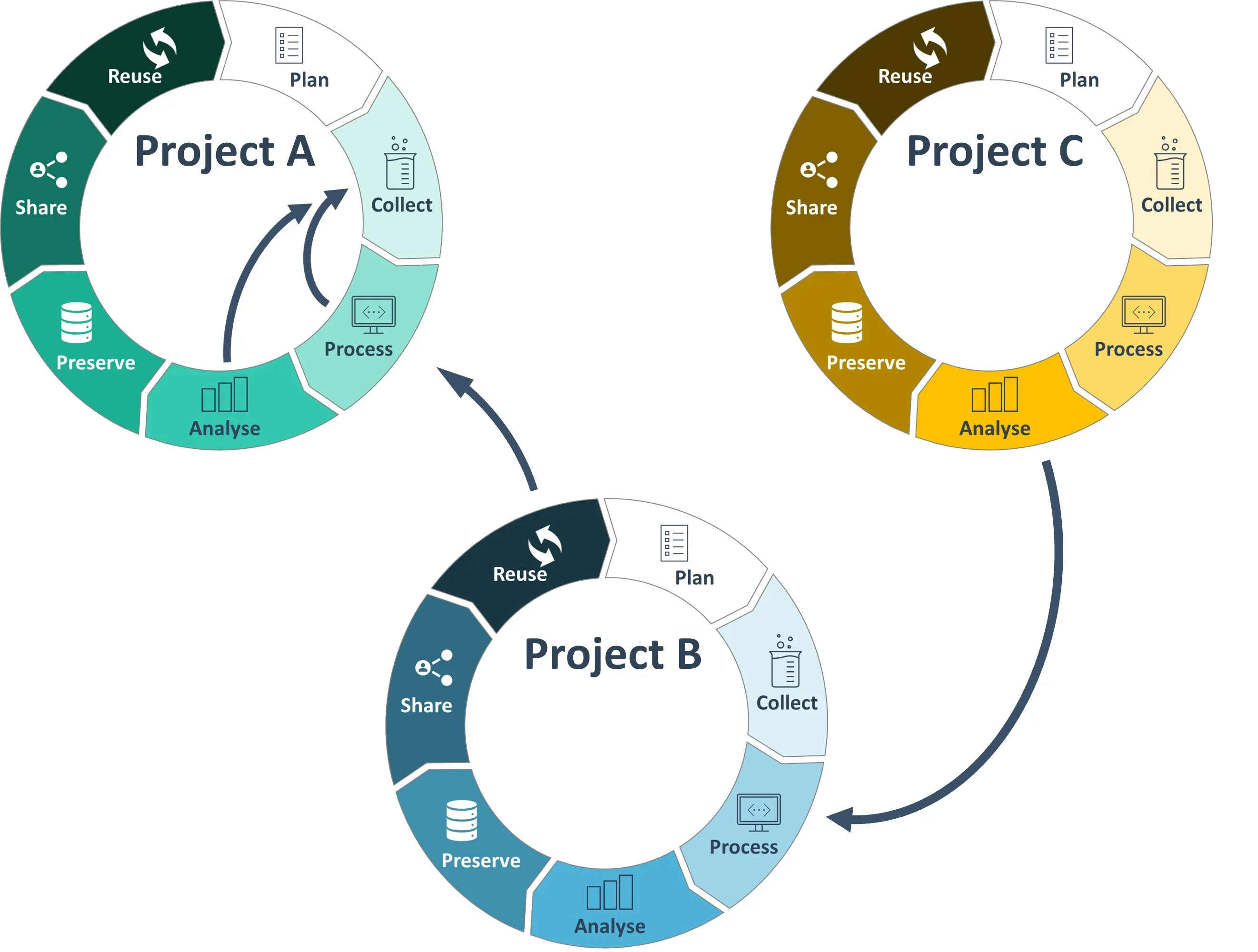 Research Data Management Lifecycles